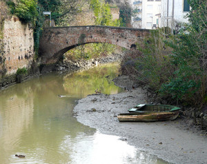 Accanto alla Specola