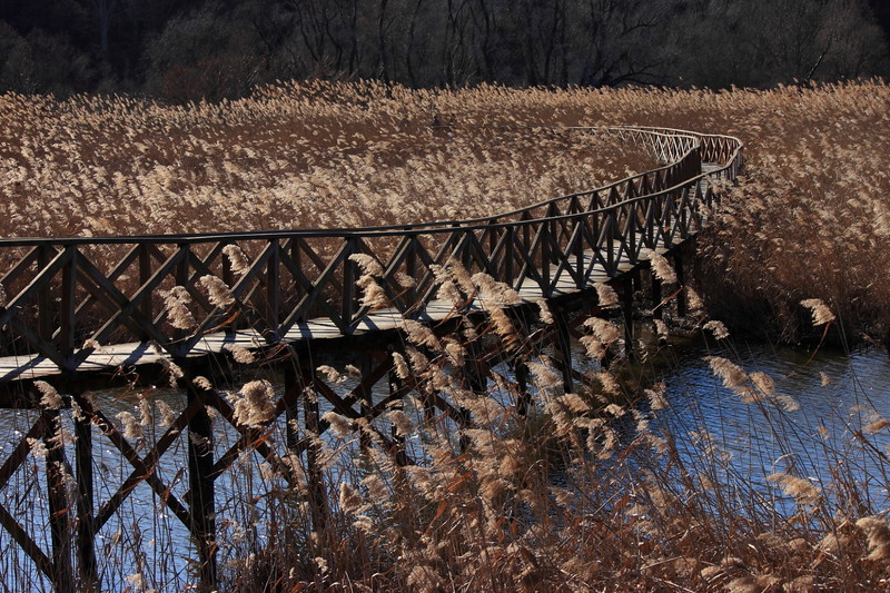 ''Passerella nell’Oasi'' - Villa d'Adda