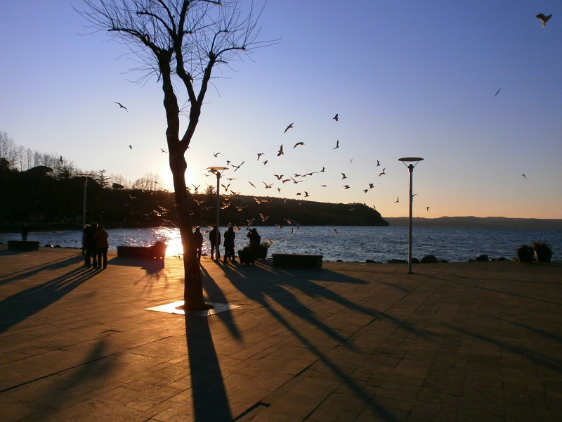 ''Ombre giapponesi'' - Anguillara Sabazia