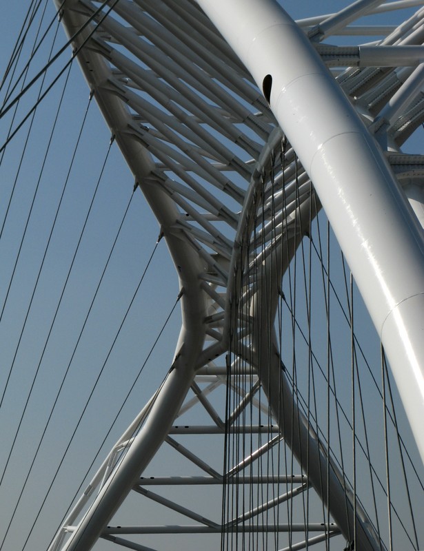 ''Butterfly effect'' - Roma