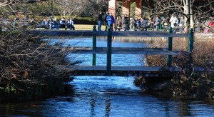 Ponte in legno e metallo sul laghetto artificiale