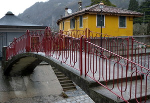 Un po’ di colore in una giornata grigia…