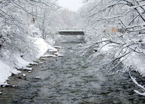 36243-800x575 36243-800x575