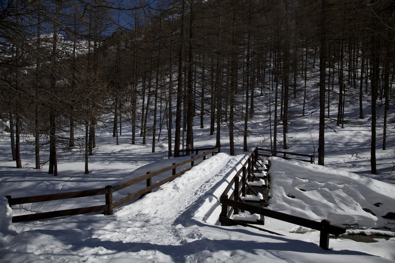 ''Innevato…'' - Rhêmes-Notre-Dame