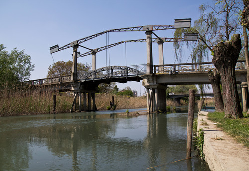 36577-800x553 36577-800x553