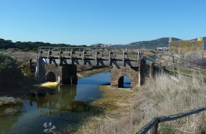 Il ponte nella palude