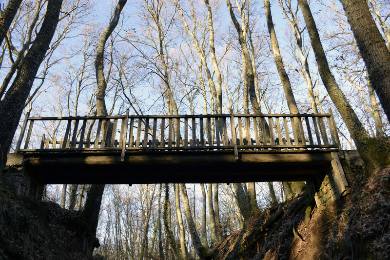 ''Il ponticello del parco'' - Vasanello