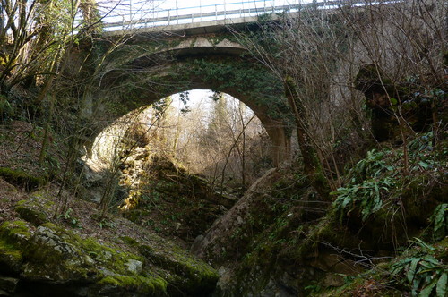 37465-800x531 37465-800x531