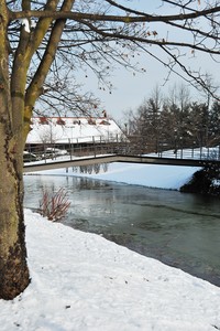 Ponticello…al gelo