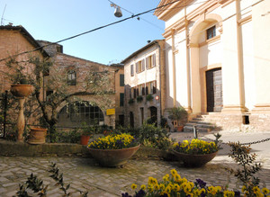 Piazza Mazzini e i fiori gialli