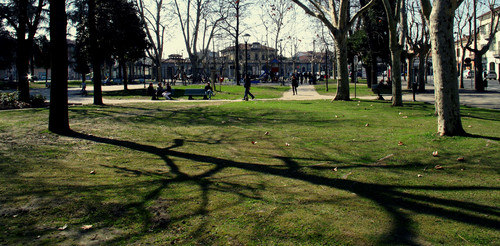 38402-800x393 38402-800x393