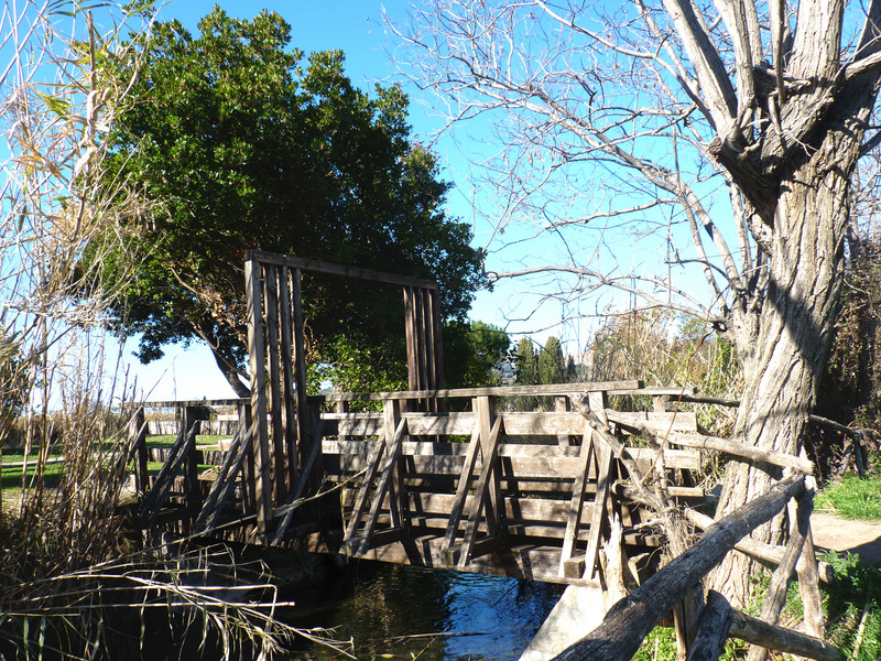 ''Ponte alla tufaia'' - Campiglia Marittima
