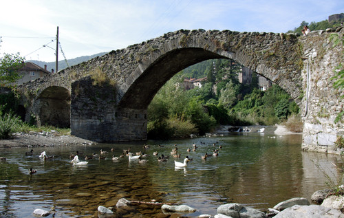 39783-800x507 39783-800x507