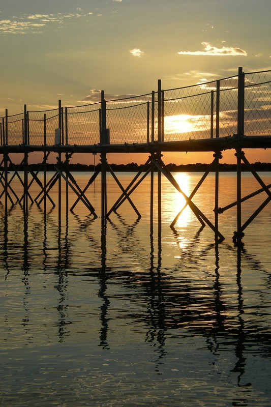 ''Camminando verso l’alba'' - Bellaria-Igea Marina