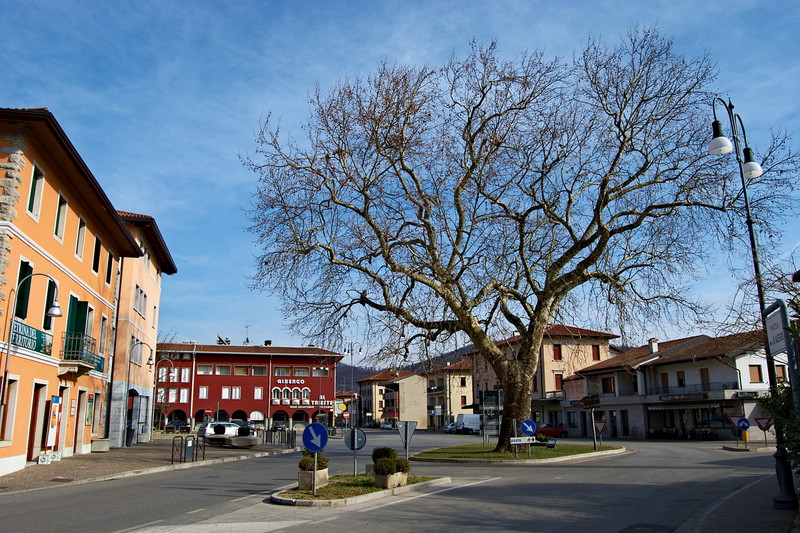 ''Diramazioni'' - Nimis