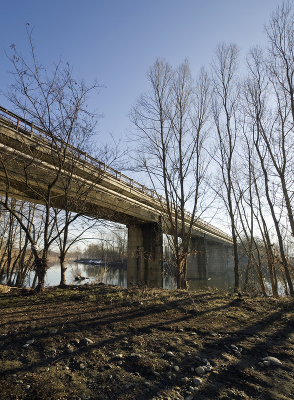 ''Lunghe ombre invernali'' - Predosa