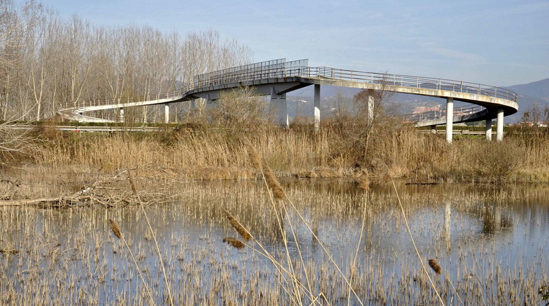 ''Passerella pedonale sulla  A 12'' - Vecchiano