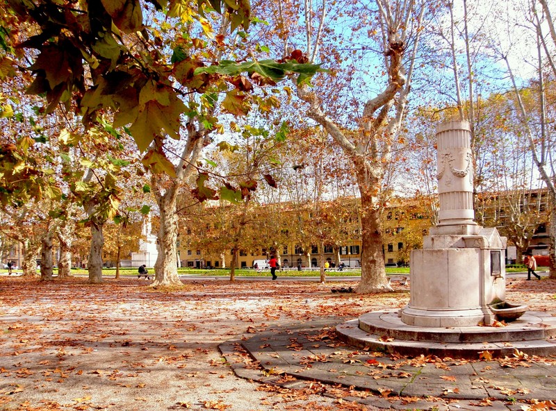 ''Toni autunnali….'' - Pisa