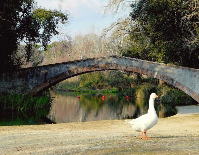 ''Da qui non passa nessuno!! :-S'' - Pietrasanta