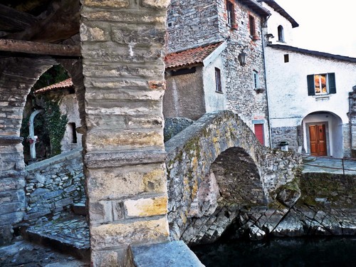 41419-800x600 41419-800x600