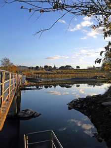 Ponte sul Lamone, chiusa di Errano