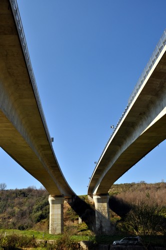 41843-531x800 41843-531x800