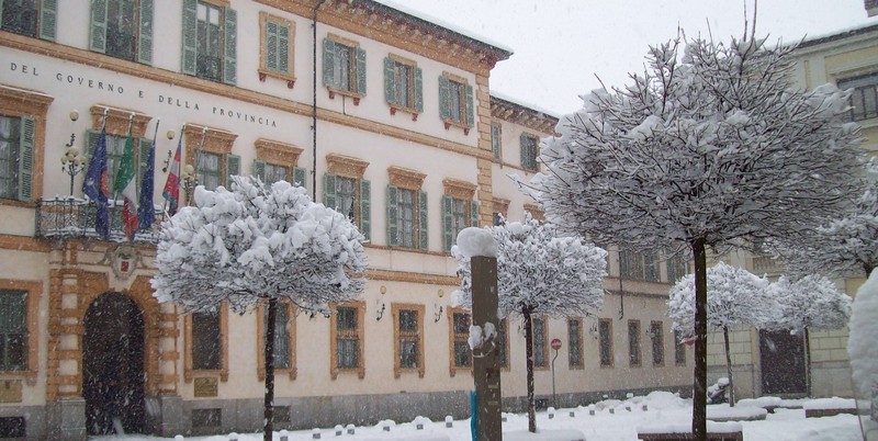 ''nevicata di gennaio'' - Novara