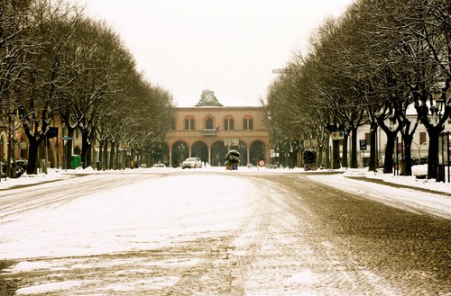 42107-800x527 42107-800x527