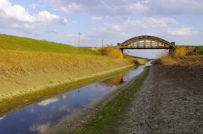 ''Quella Luce “Oro” Al Vecchio Ponte'' - Crevalcore