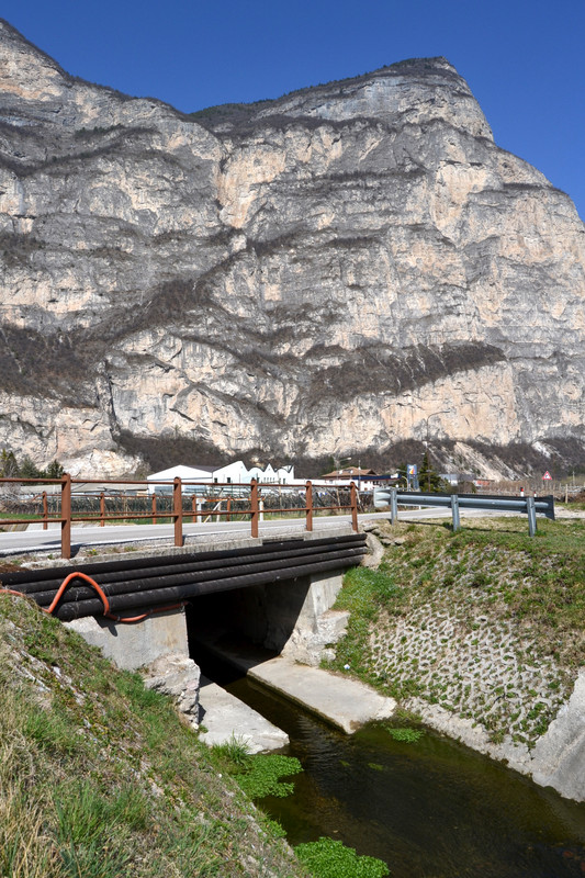 ''Piccolo ma…”arruolato”'' - Roverè della Luna