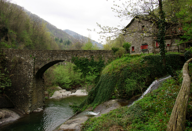 ''lungo la strada per Pavana'' - Sambuca Pistoiese