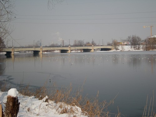 44013-800x600 44013-800x600