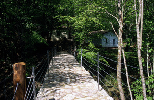 Un ponte nel bosco