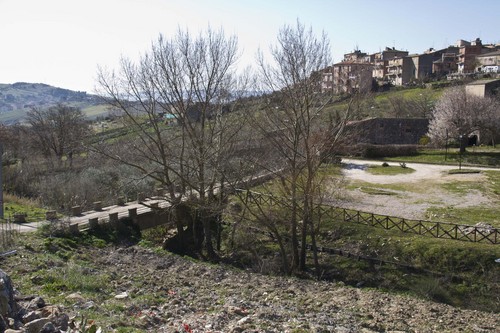 44332-800x533 44332-800x533