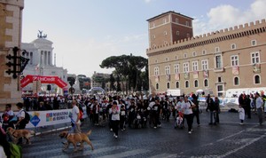 Stracittadina a Piazza Venezia Roma