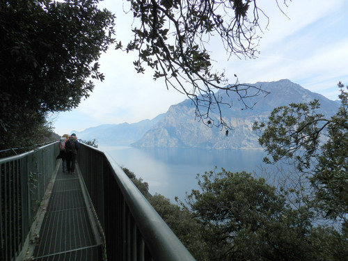 45959-800x600 45959-800x600