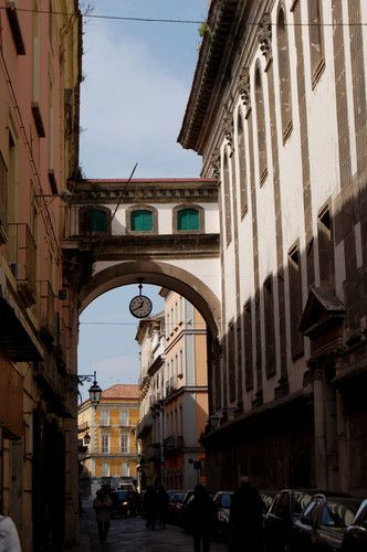 46105-531x800 46105-531x800