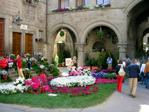 46268-800x600 46268-800x600