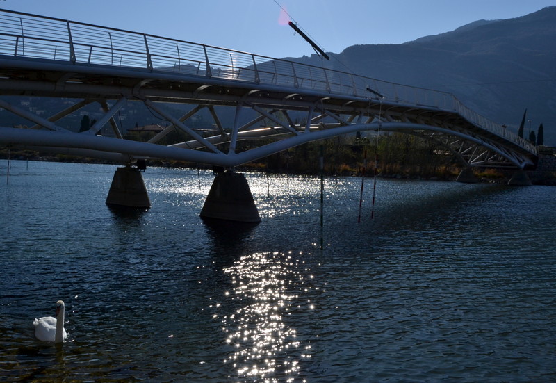 ''Torbole: “cercasi compagna”'' - Nago-Torbole