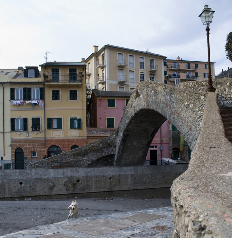 ''Ricci…..'' - Bogliasco