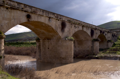 46669-800x531 46669-800x531