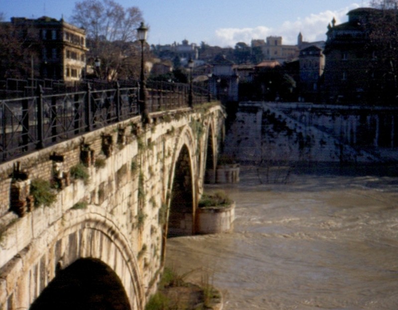 ''Trastevere'' - Roma