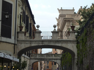 I ponti di Via della Pilotta