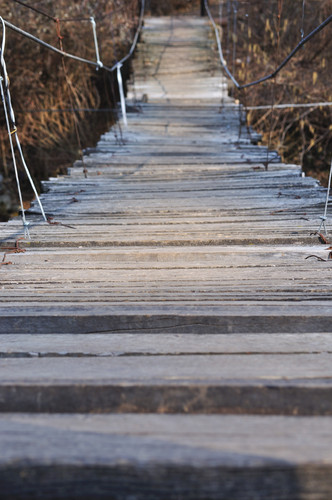 46915-531x800 46915-531x800