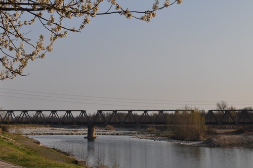 46923-800x533 46923-800x533