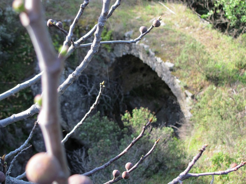 ''ponte romano'' - Caccuri