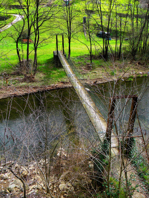 ''Prima che la vegetazione lo nasconda…..'' - Cantagallo