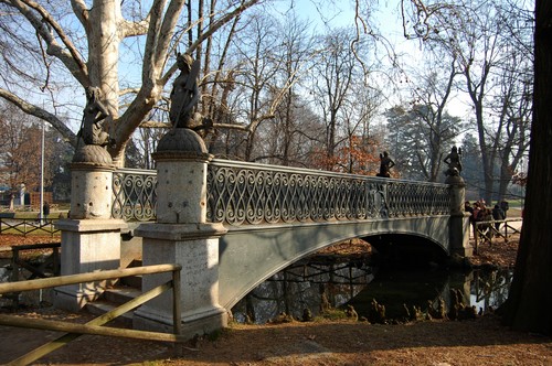 47981-800x531 47981-800x531