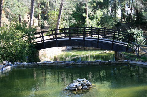 48601-800x533 48601-800x533