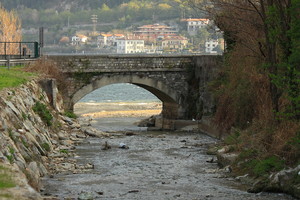 Ponticello solitario